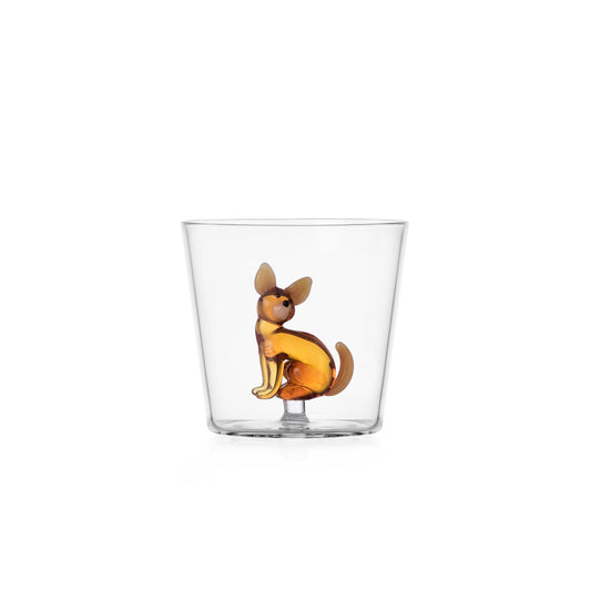 Dogs - Chihuahua