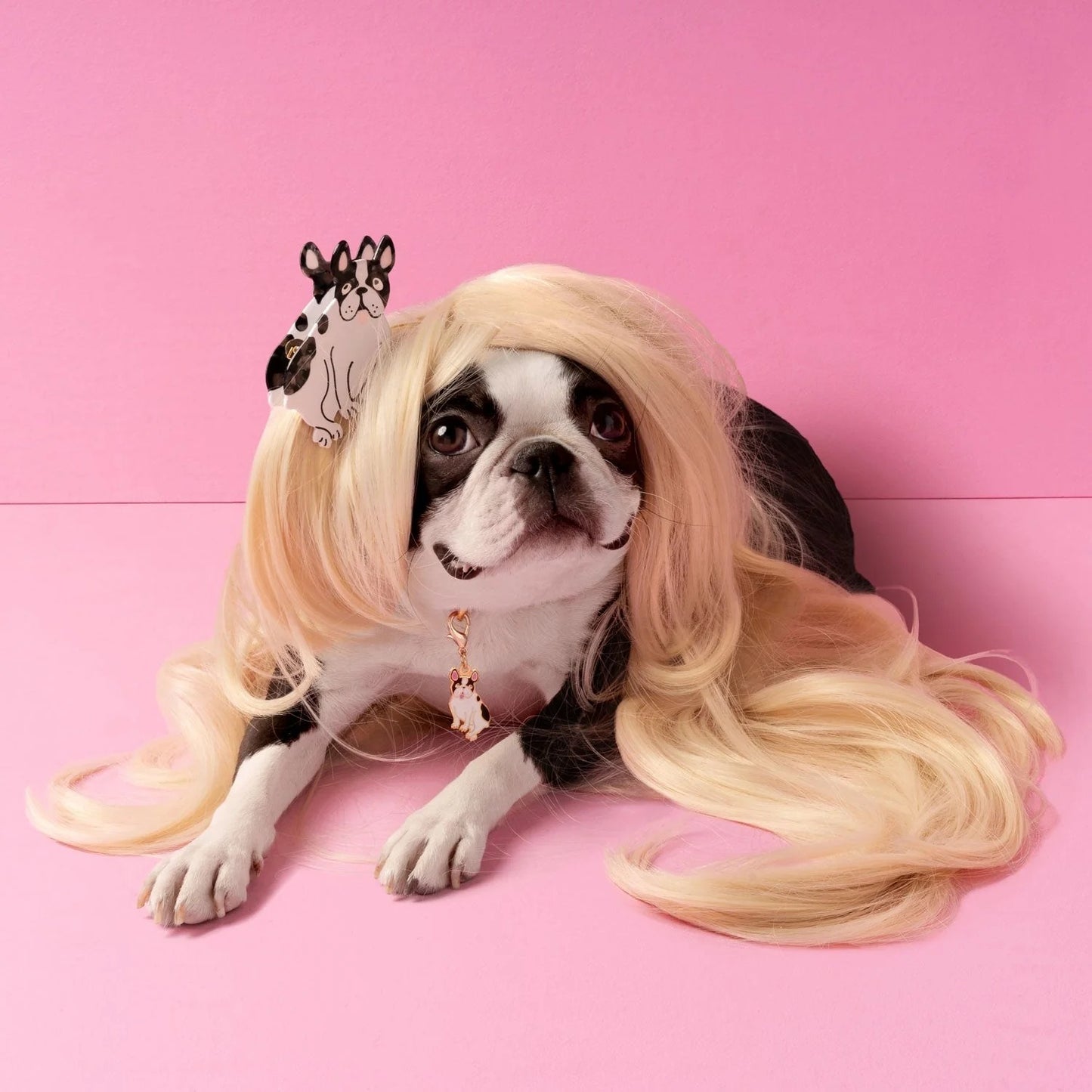 Molletta per i capelli - Bull Dog Francesce