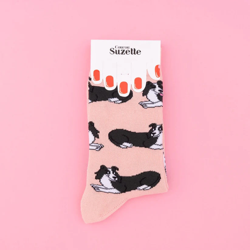 Calzini - BORDER COLLIE