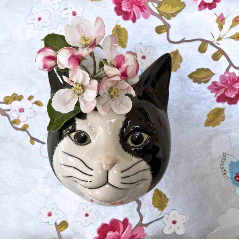 Vaso da muro Gatto Bianco e Nero