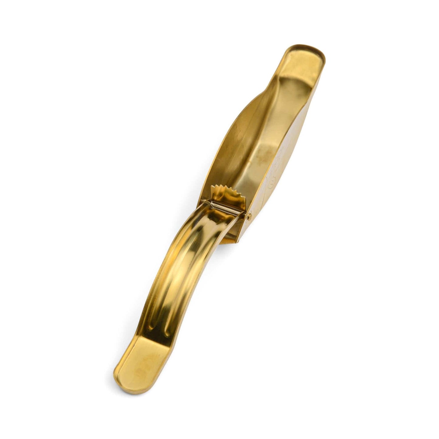 Spremi Limone a forma di Pesce