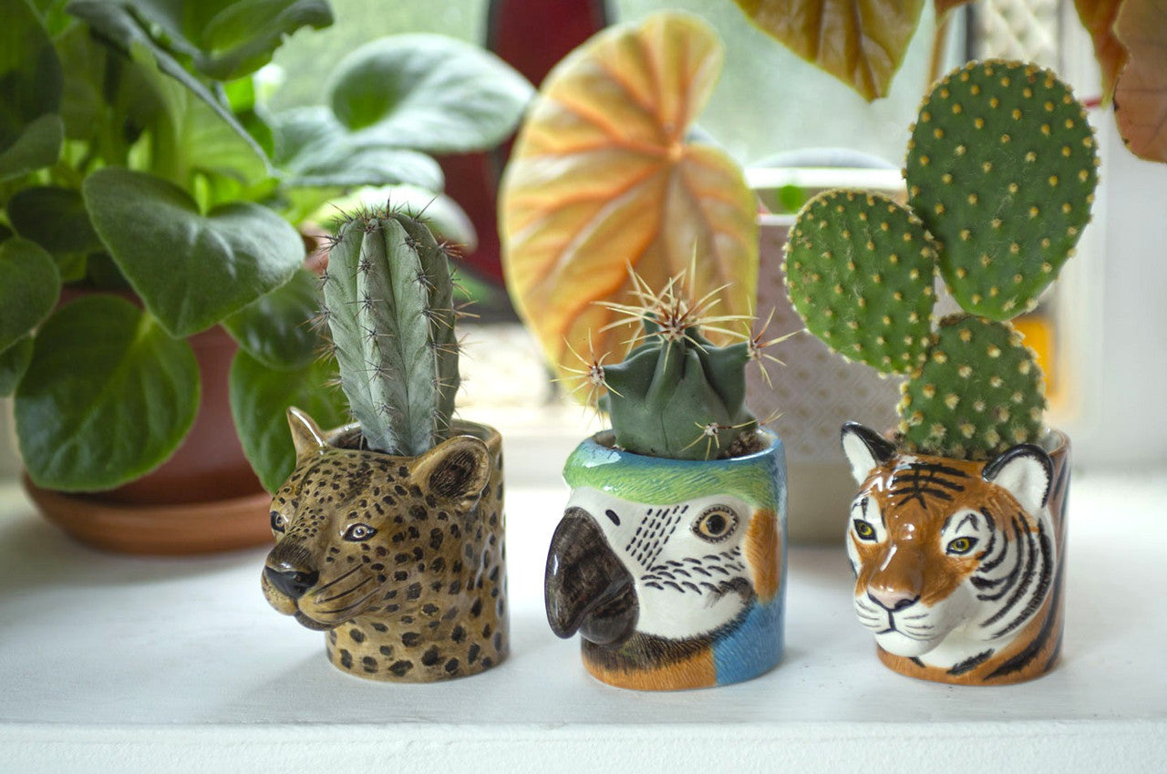 Animal farm duck glass