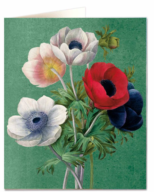 Greeting card - Anenome