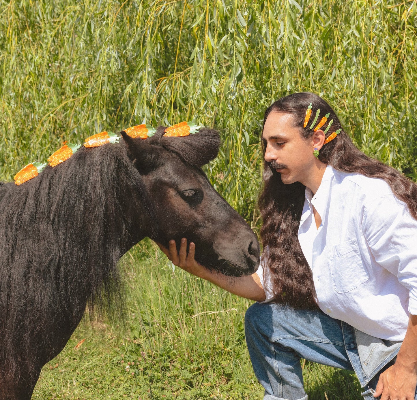 Molletta per i capelli - Carote
