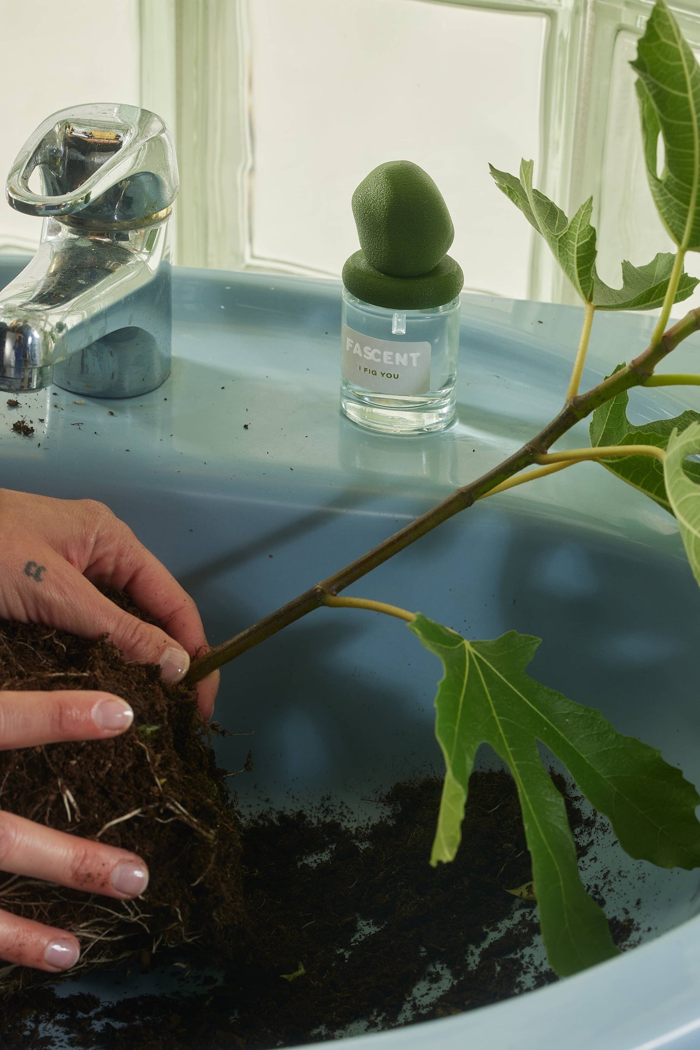 I Fig You - The verde, foglia di Fico e Vetiver