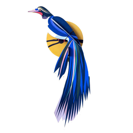 Paradise Bird Flores