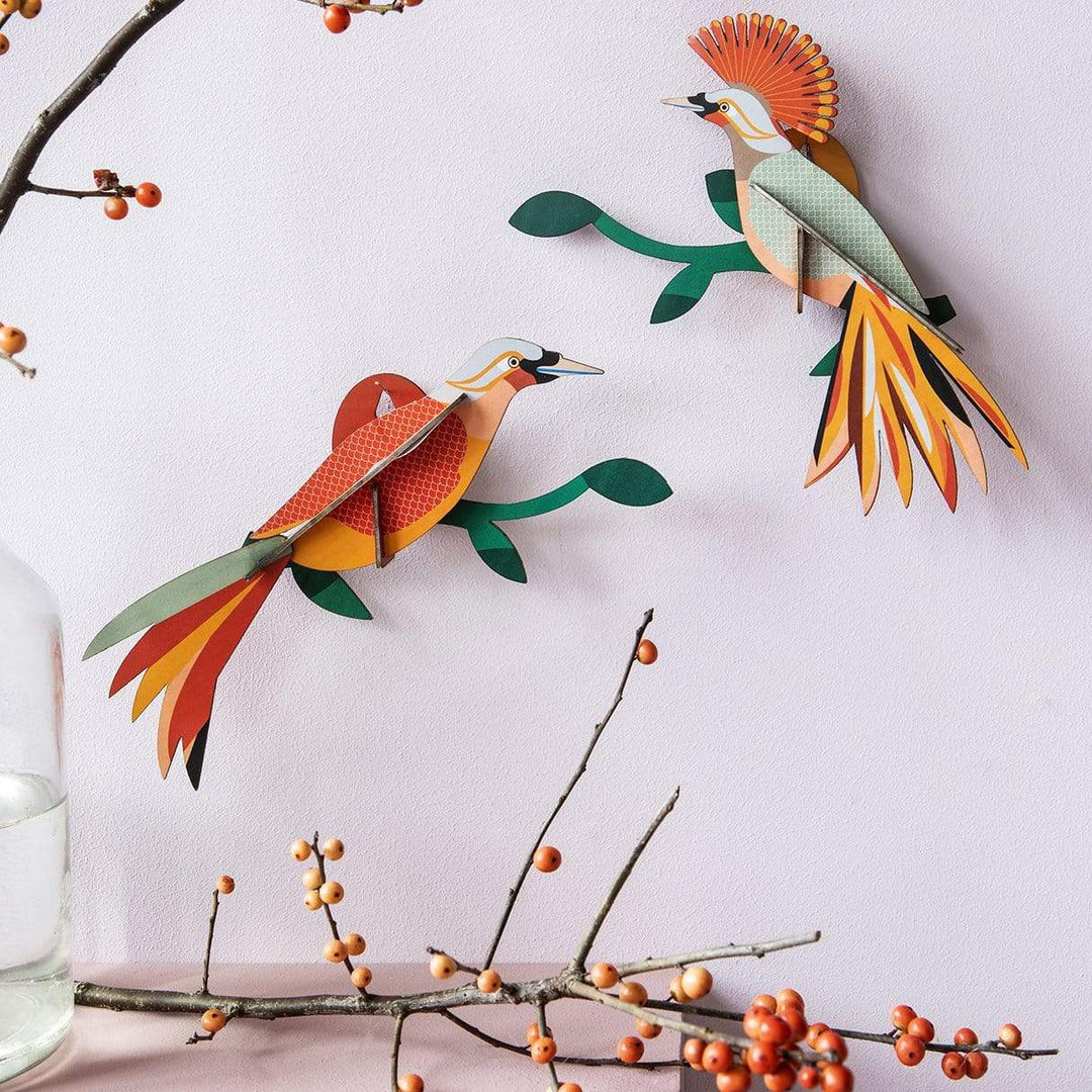 Paradise Bird Obi