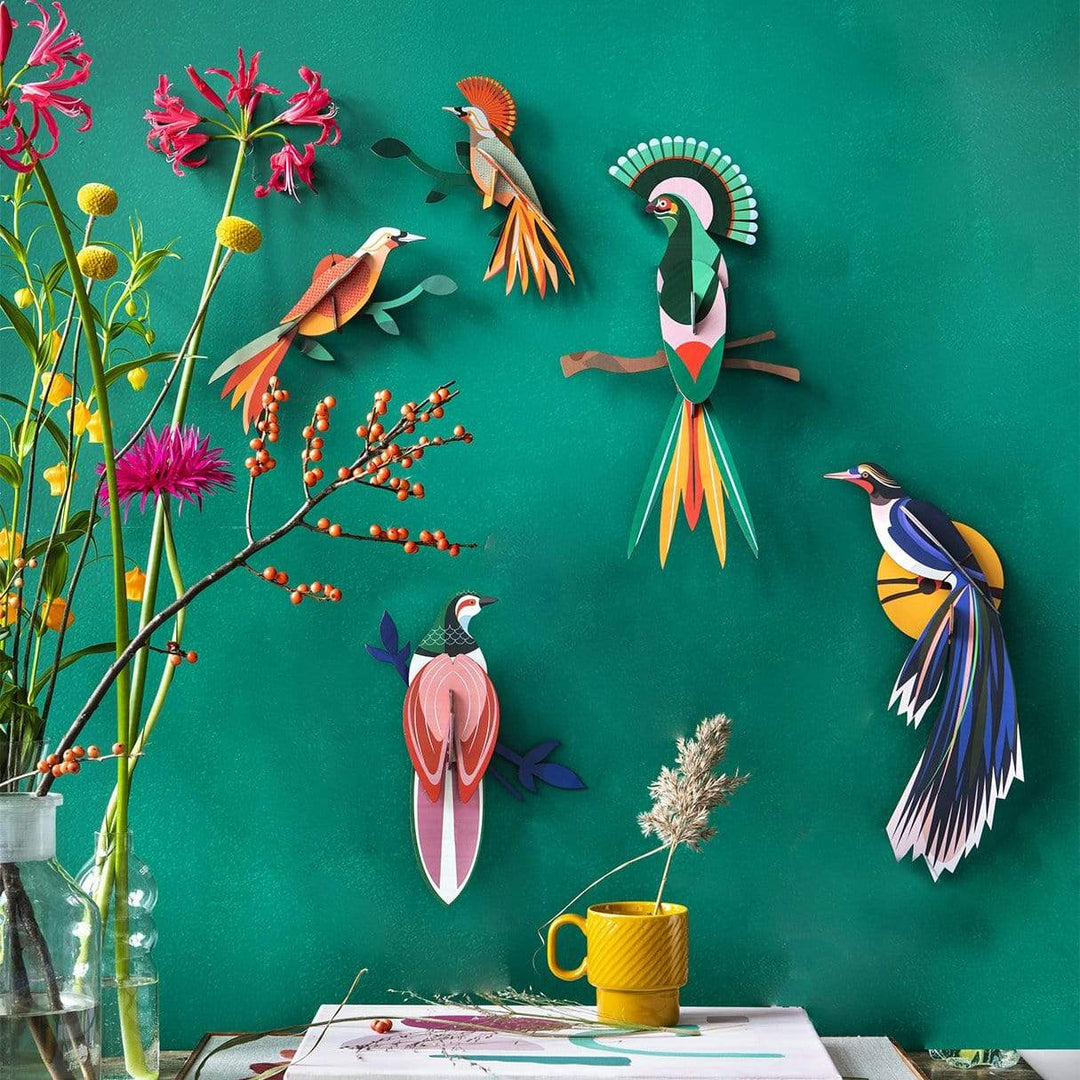 Paradise Bird Obi
