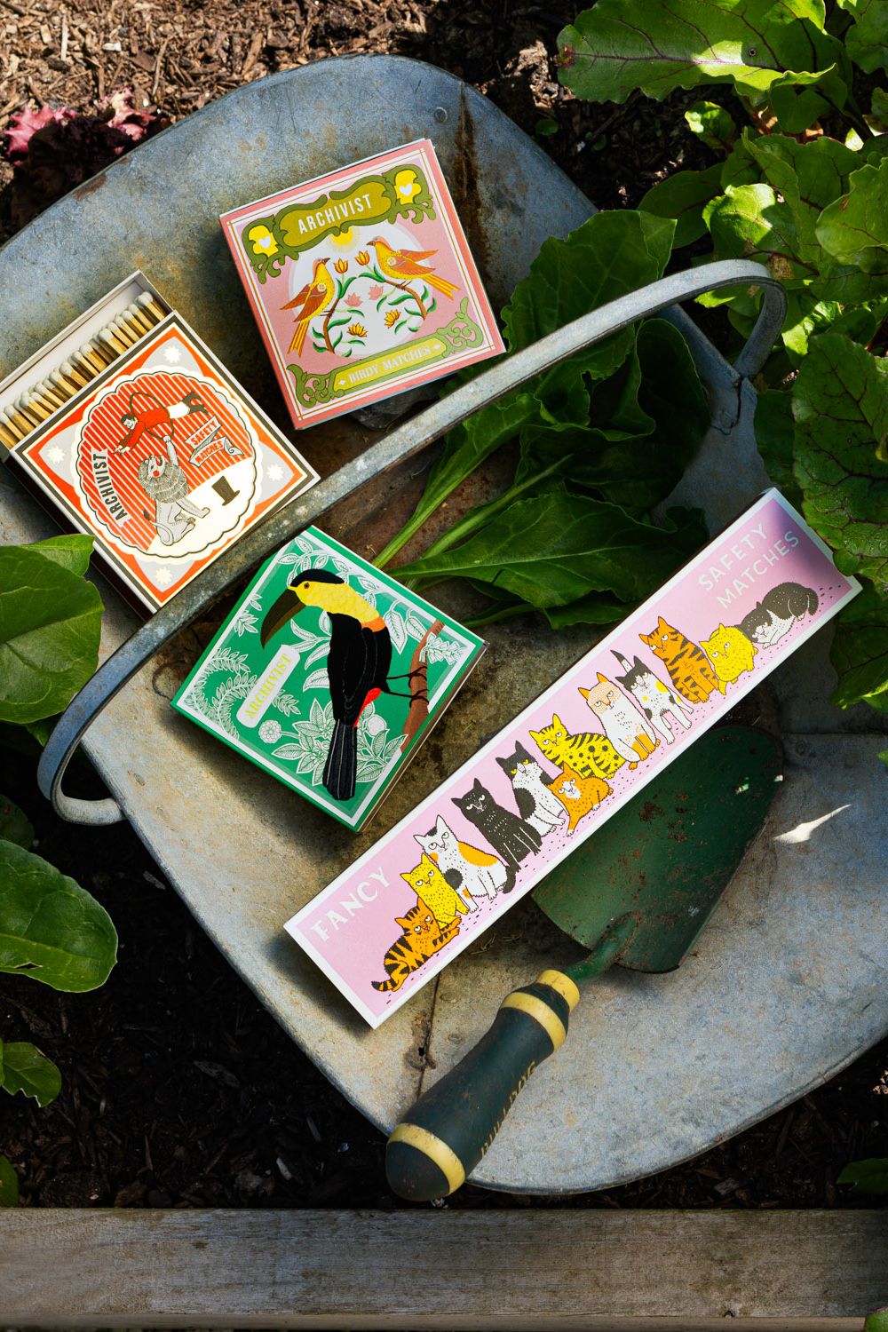 Fiammiferi Lunghi - Fancy Cats