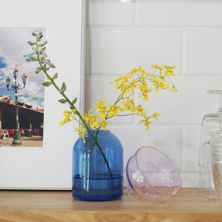 Vaso in Vetro Bicolore - Blu e Rosa