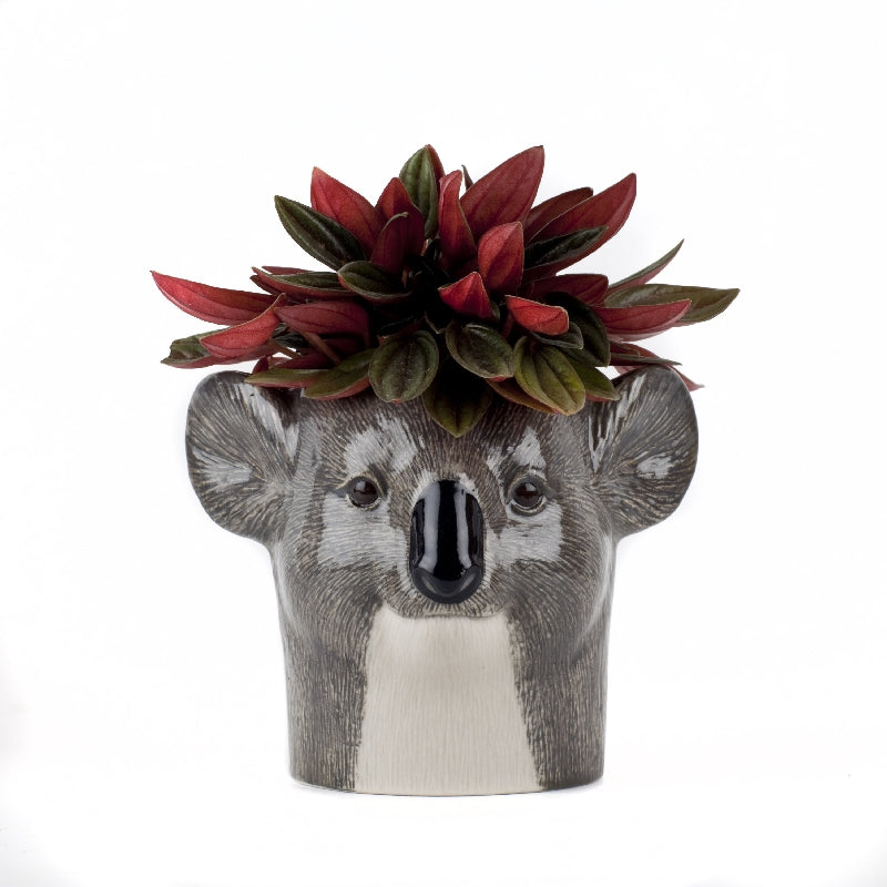 Porta Penne Koala