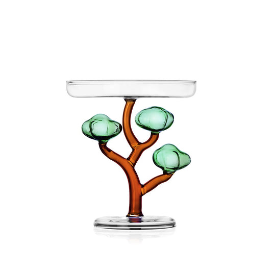 Alzata Savannah - Alzata Baobab by Alessandra Baldereschi