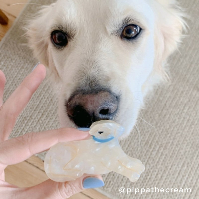 Molletta per i capelli - Golden Retriver Hair Claw