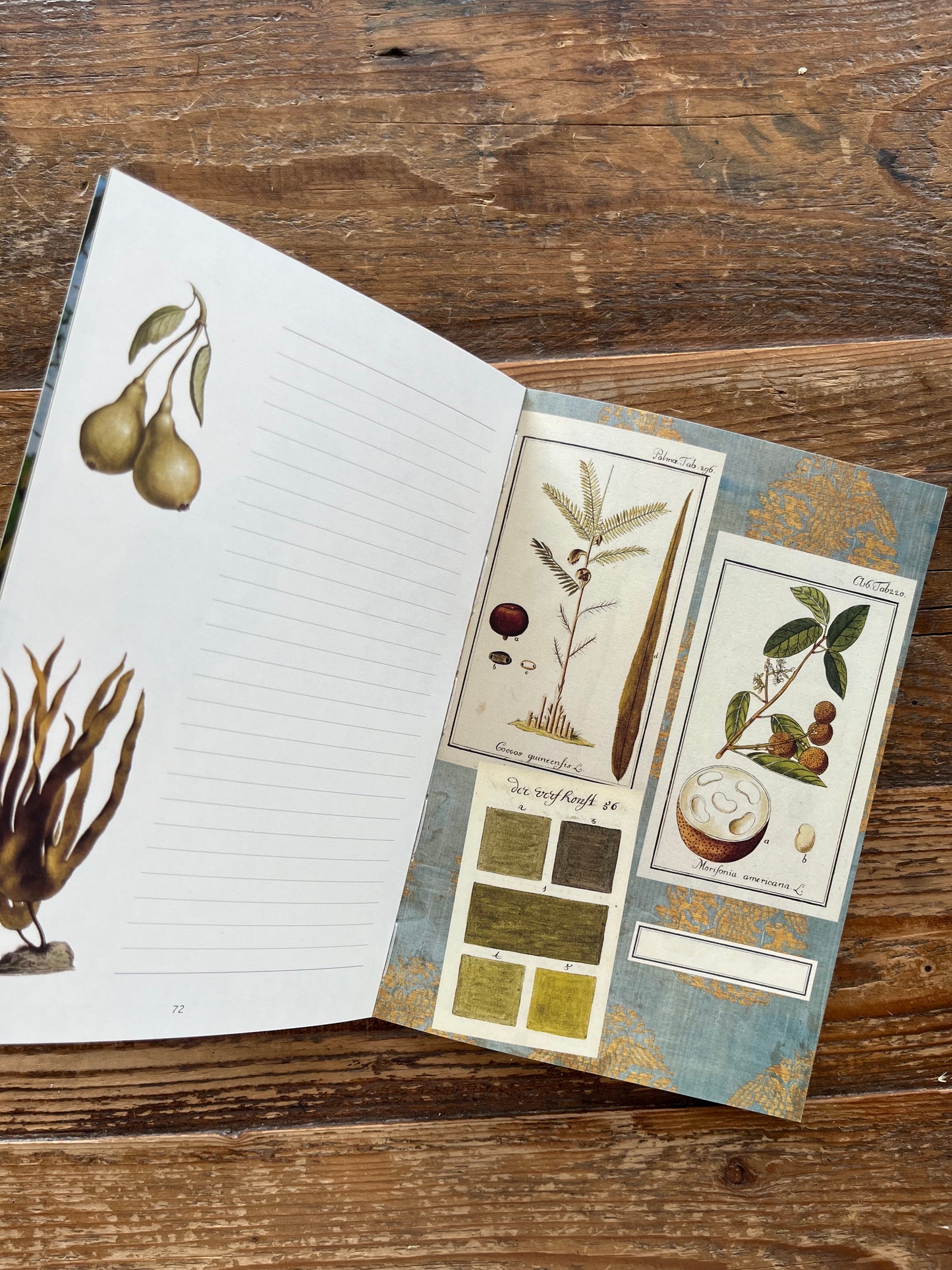 Quaderno Scrapbooking - Couleurs Nature