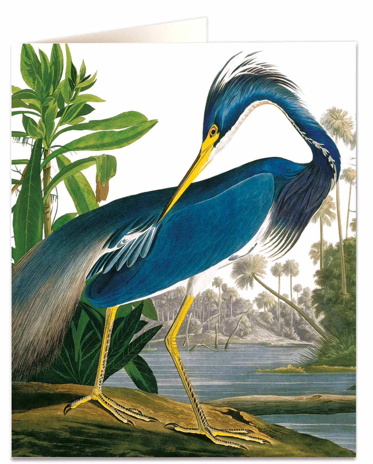 Greeting card - Heron