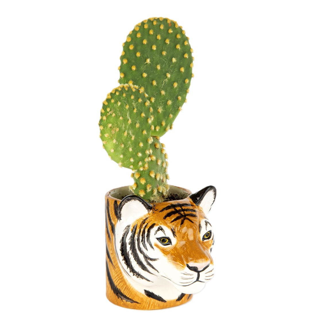 Animal farm duck glass