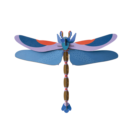 Blue Dragonfly