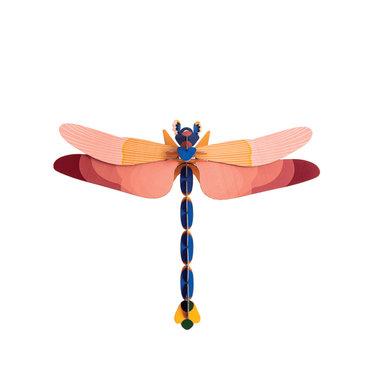 Pink Dragonfly