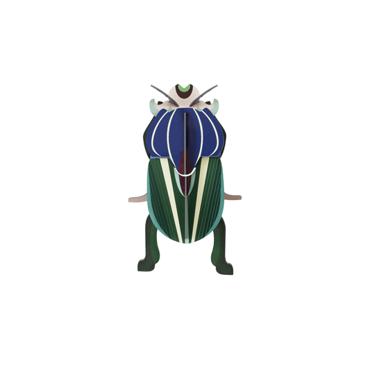Mimela Scarab Beetle