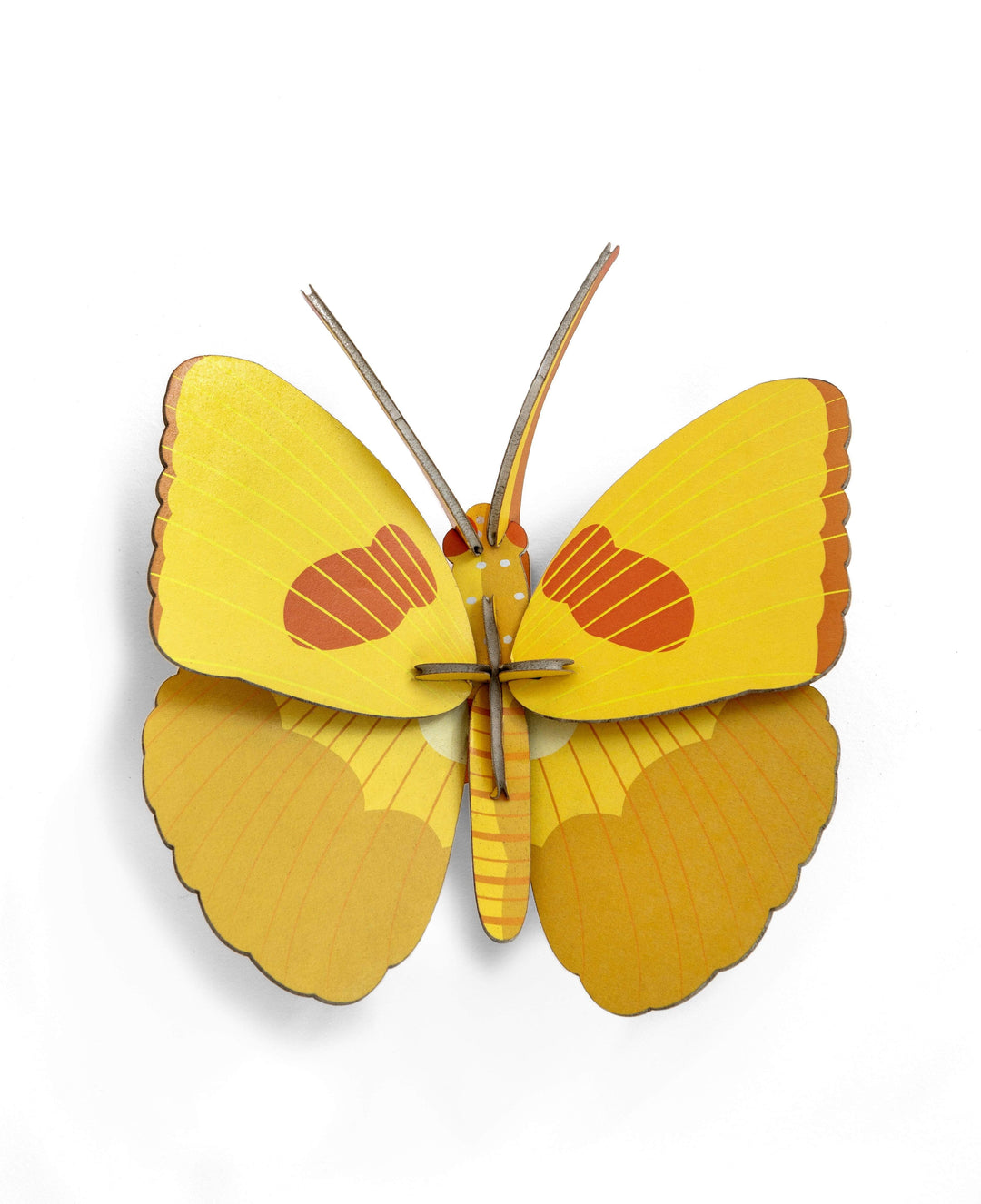 Yellow Butterfly