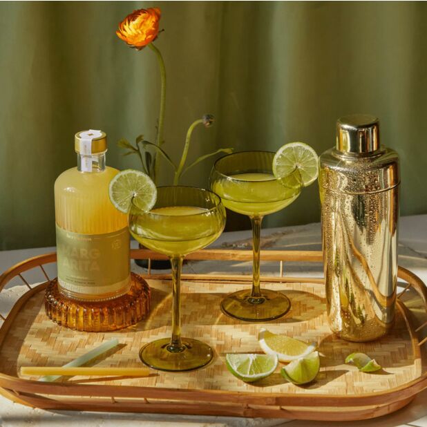 Margarita Mixer - 500ml