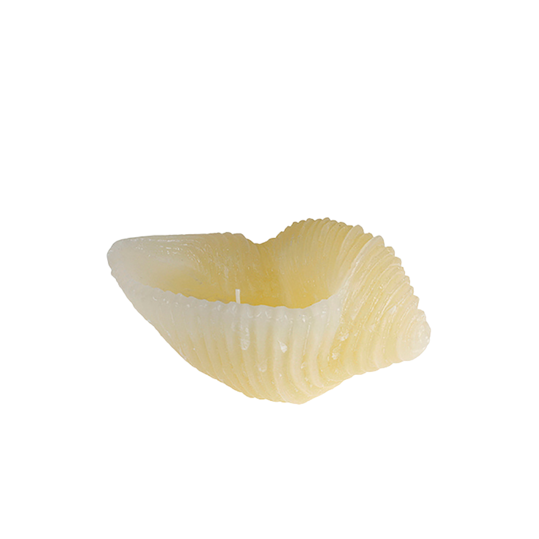 Candela Artistica - Sea Snail