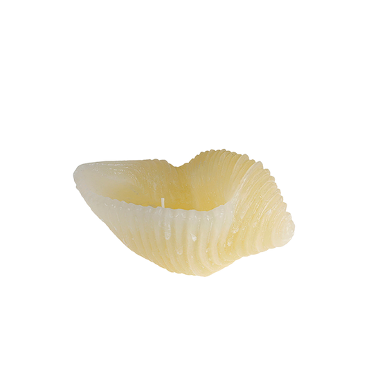 Candela Artistica - Sea Snail