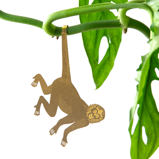 Plant Animal - Spider Monkey