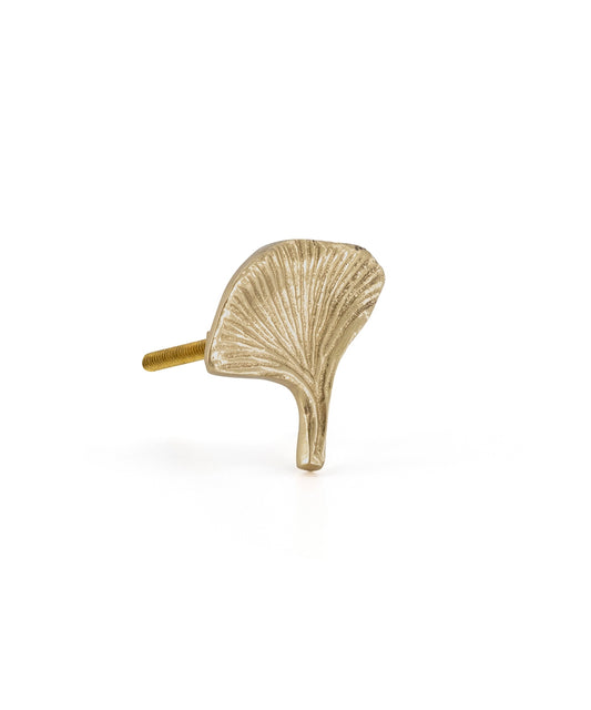 Ginko brass knob 